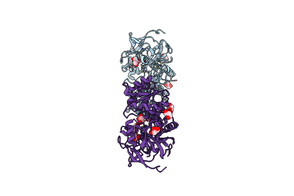 4DLA image