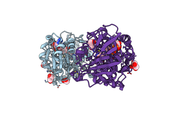 4DLB image