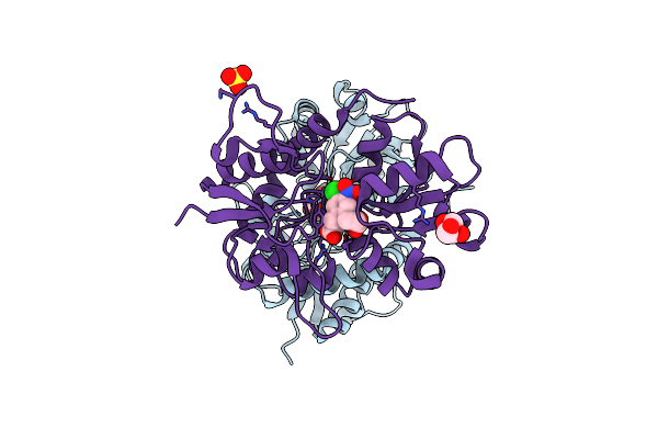 4DLD image