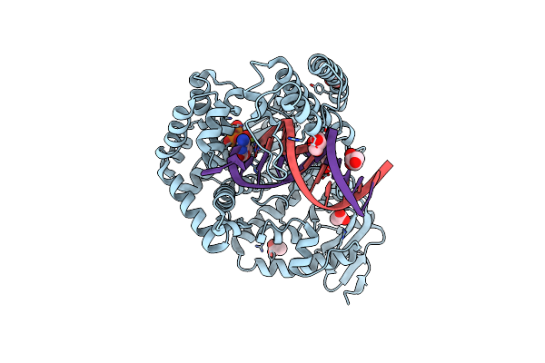 4DLG image