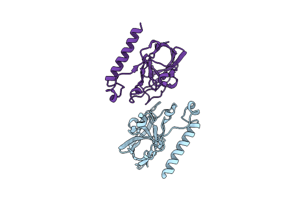 4DLH image