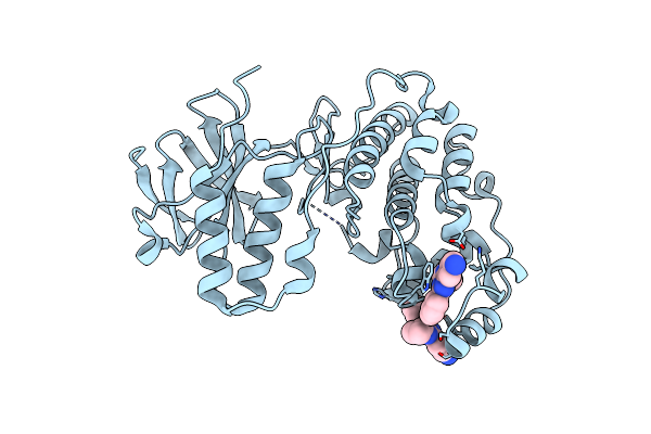 4DLI image