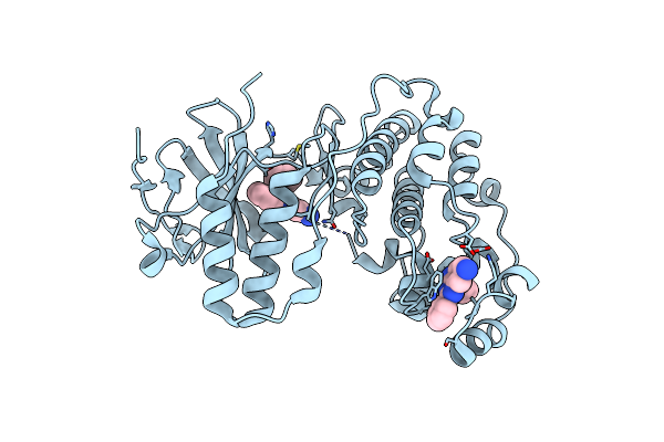 4DLJ image