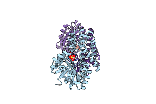 4DLL image