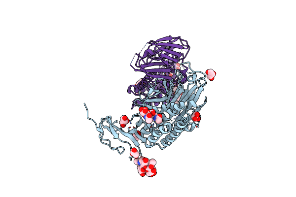 4DLO image