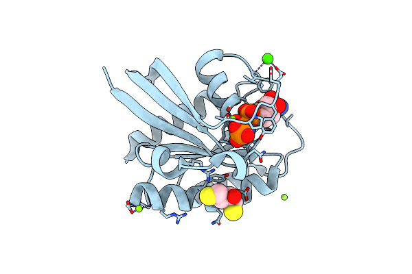 4DLX image