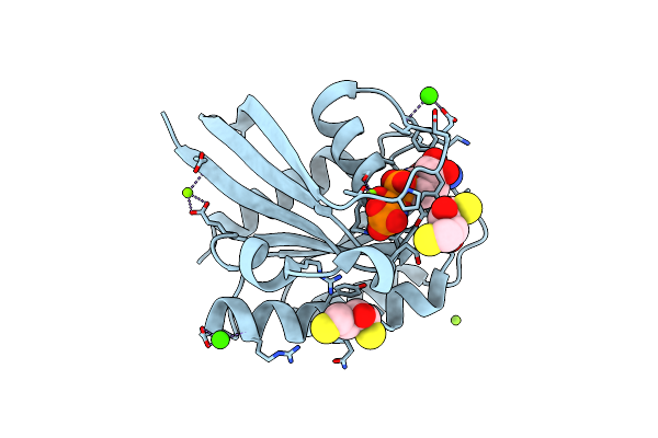 4DLZ image