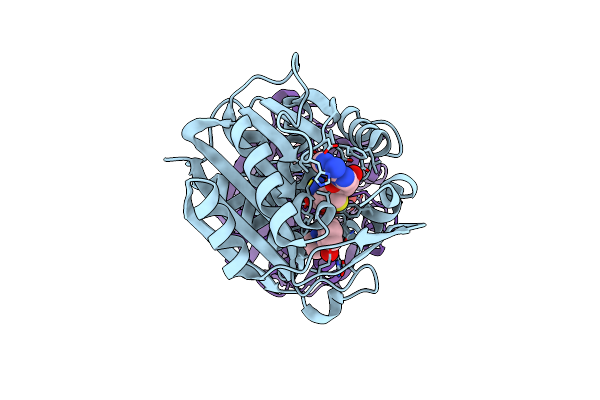 4DM3 image