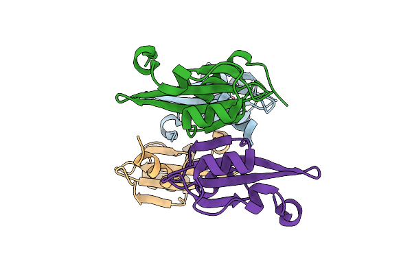 4DM5 image