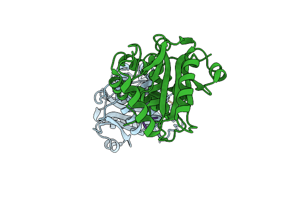4DM9 image