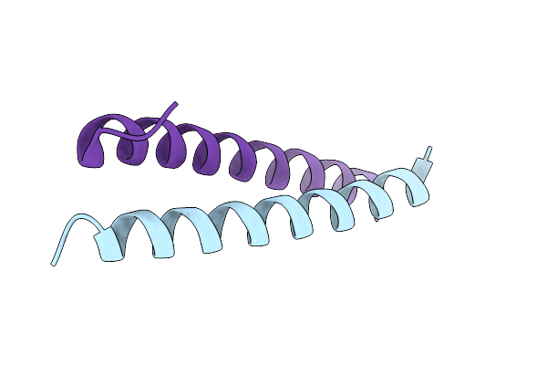 4DMD image