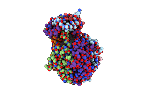 4DMI image