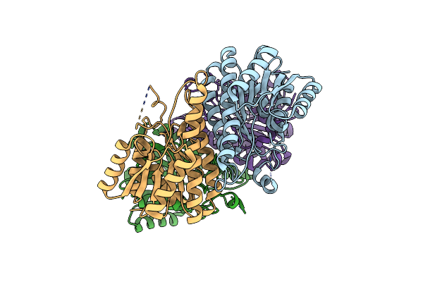 4DML image
