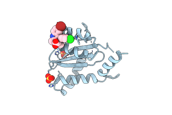 4DMN image