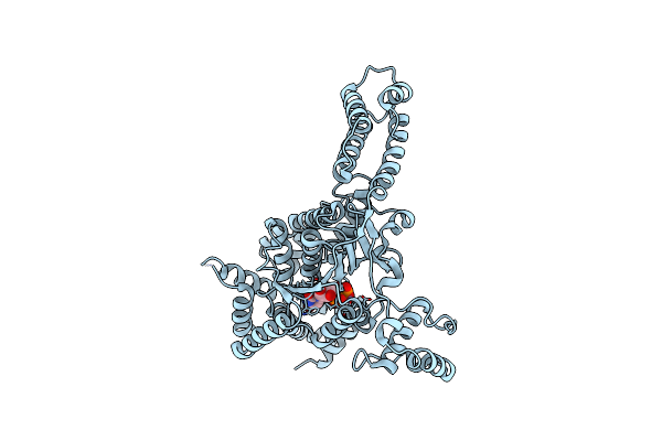 4DMW image