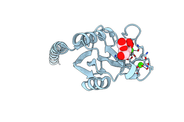 4DN8 image