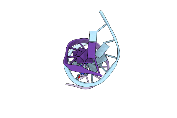 4DNB image