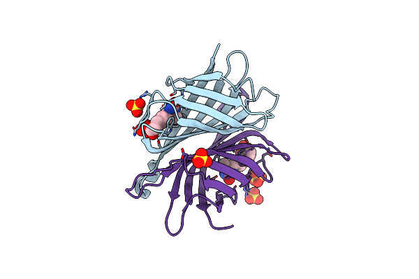 4DNE image