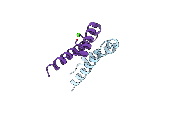 4DNN image