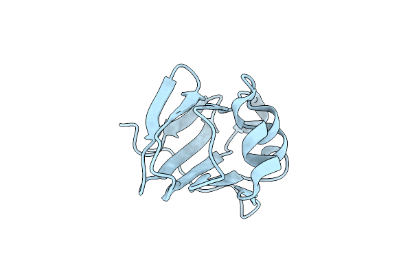 4DNY image