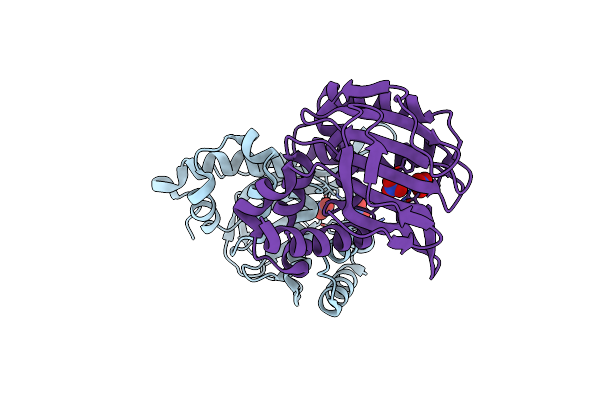 4DOI image