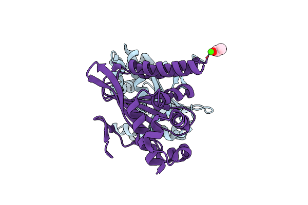 4DOK image