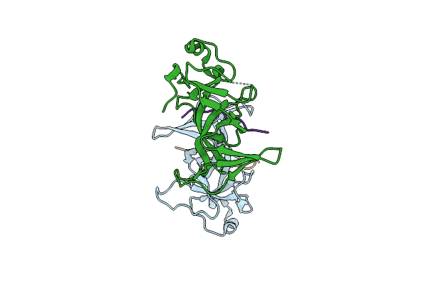 4DOW image