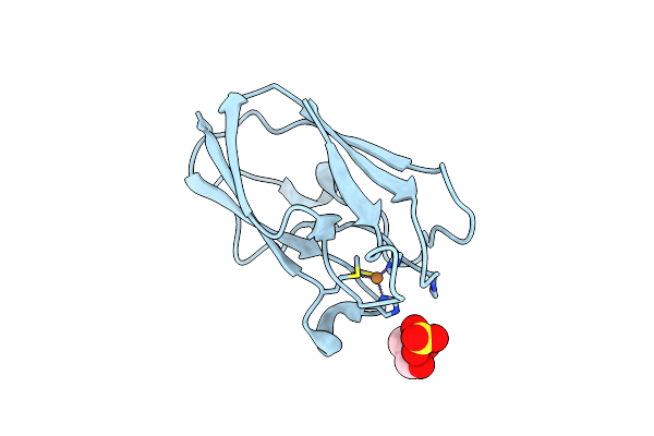 4DP0 image