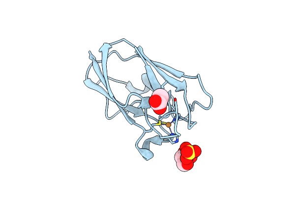 4DP1 image