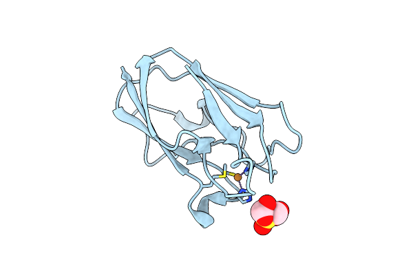 4DP4 image