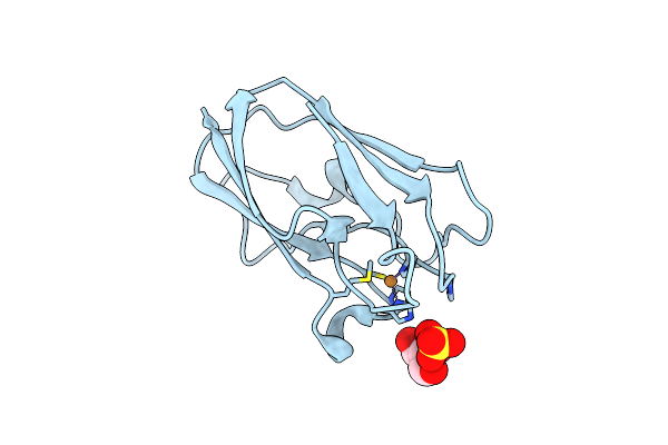 4DP5 image