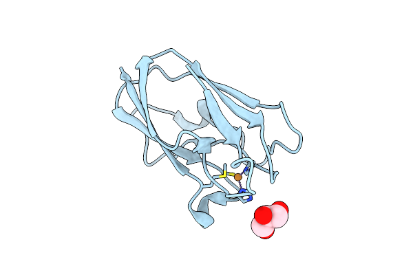 4DP6 image