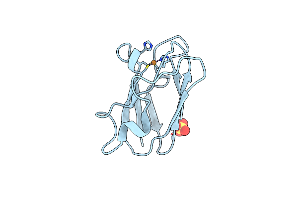 4DP8 image