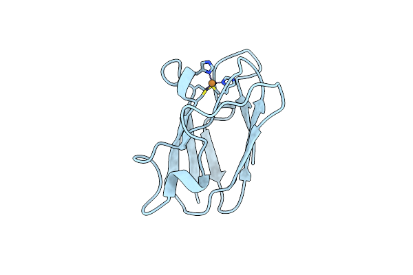 4DP9 image