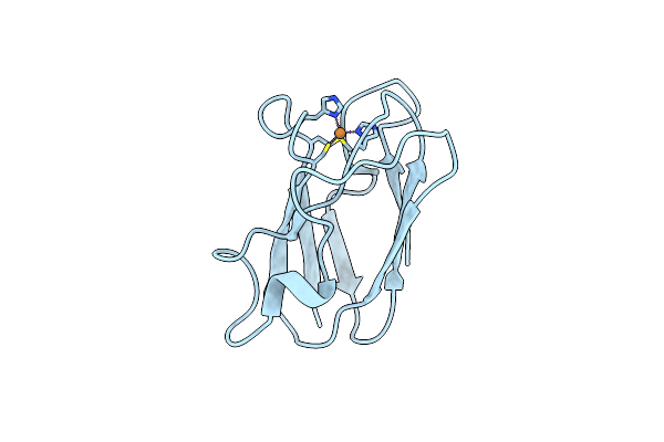4DPC image