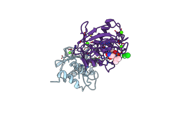 4DPE image