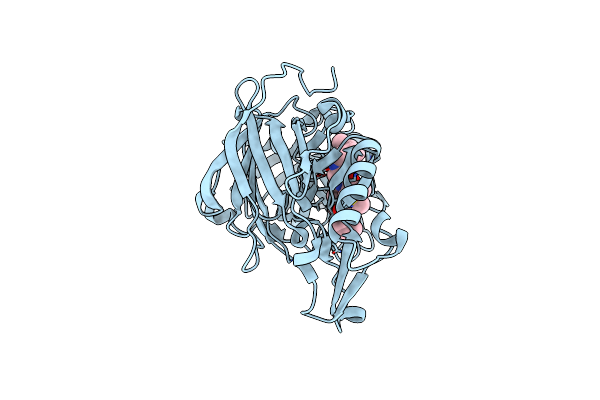 4DPF image