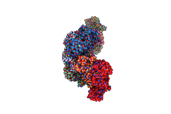 4DPG image
