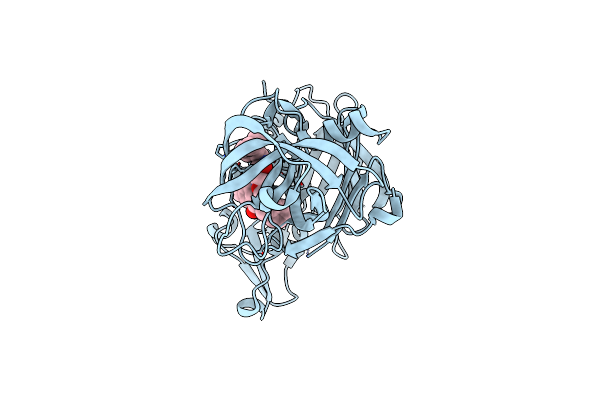 4DPI image