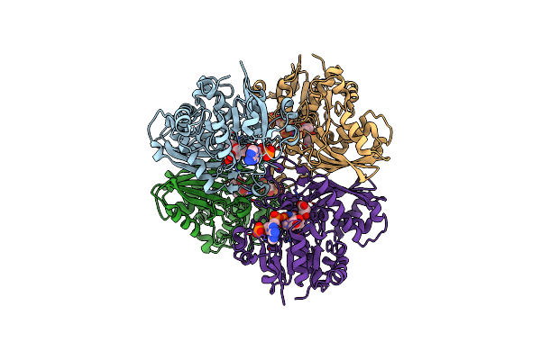 4DPL image