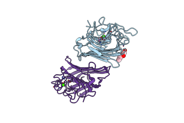 4DPN image