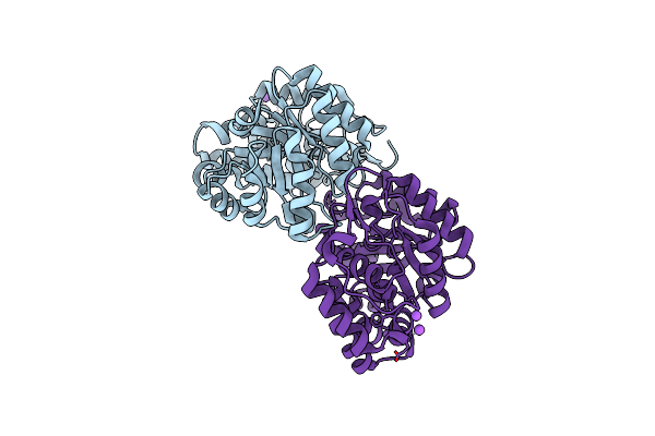 4DPP image