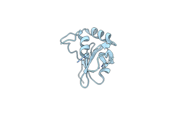 4DPZ image
