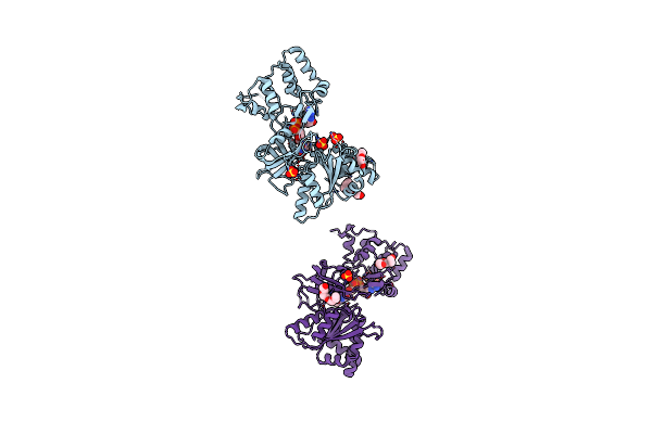 4DQK image
