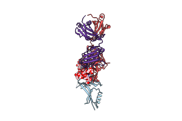 4DQO image
