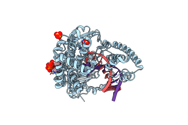 4DQS image