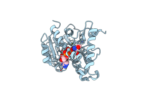 4DQU image