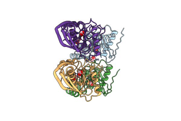 4DR8 image