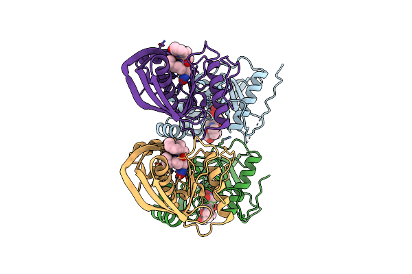 4DR9 image