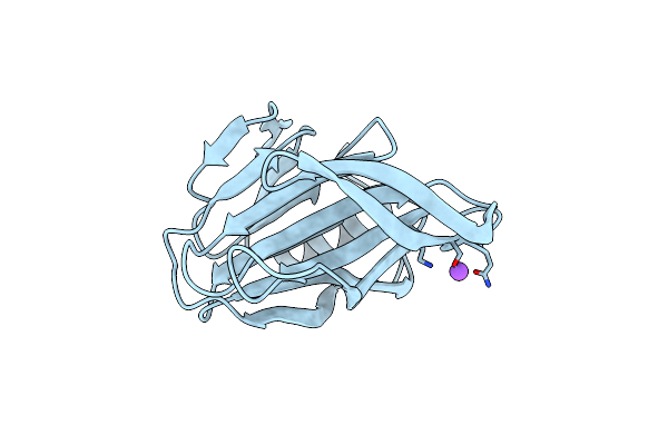 4DRR image